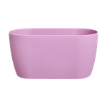 brussels orchidee duo 25cm kräftiges violet